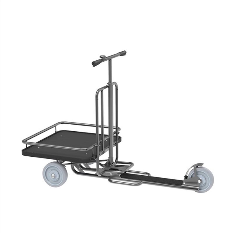 Sparkflakcykel Ergo